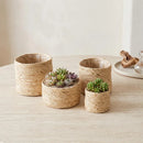 Conjunto Cachepots Organics Dansu (4pçs)