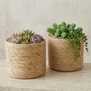Conjunto Cachepots Organics Dansu (4pçs)