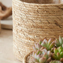 Conjunto Cachepots Organics Dansu (4pçs)